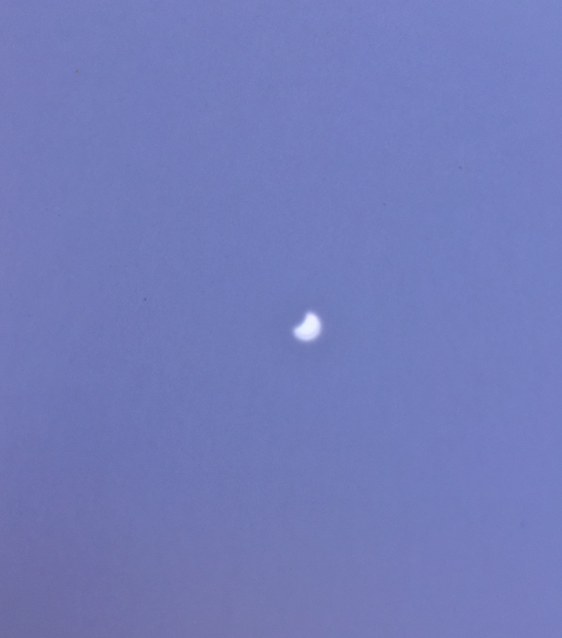 IMG_3666 cropped 800px