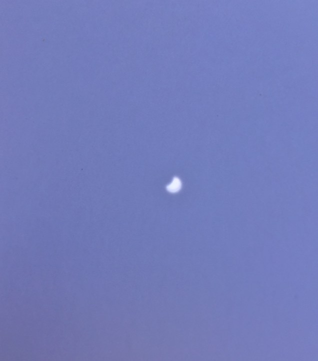 IMG_3666 cropped 800px