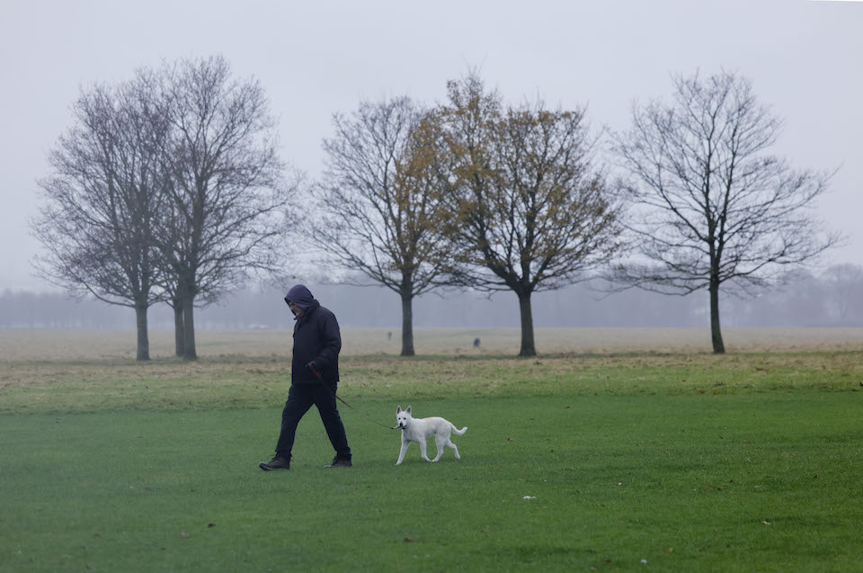 Charles Foster and his dog Evie enjoy a walk in Dublins Phoenix Park