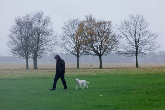 Charles Foster and his dog Evie enjoy a walk in Dublins Phoenix Park