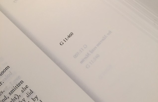 Showthrough IMG_4792 960px